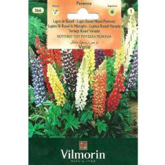 Vilmorin Acı Bakla Lupin Çiçeği