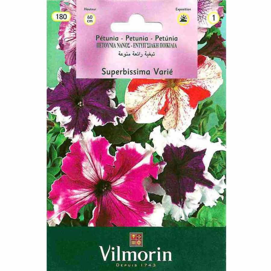 Vilmorin Alacalı Karışık Renk Petunya Çiçeği 