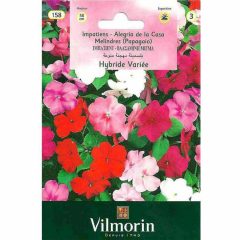 Vilmorin Karışık Renkli Hibrid Cam Güzeli Çiçeği
