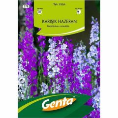 Genta Hazeran Süvari Mahmuzu Çiçeği