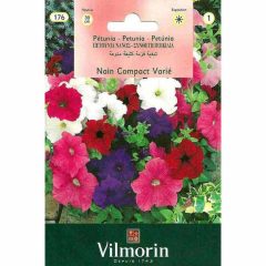 Vilmorin Karışık Renkli Kısa Petunya Çiçeği
