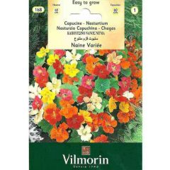 Vilmorin Karışık Renkli Latin Çiçeği