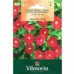 Vilmorin Kırmızı Renkli Kısa Petunya Çiçeği