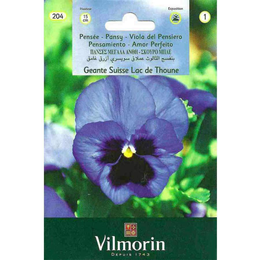 Vilmorin Mavi Alacalı Hercai Menekşe Çiçeği 