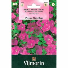 Vilmorin Pembe Renkli Kısa Petunya Çiçeği