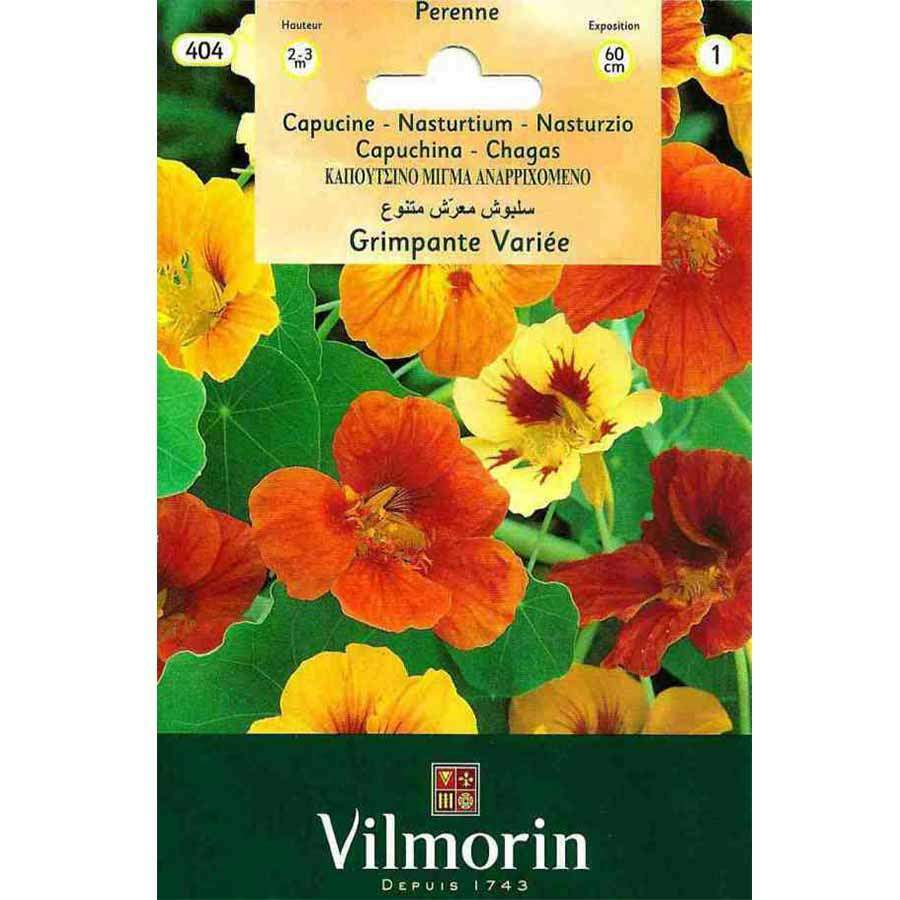 Vilmorin Sarmaşık Latin Çiçeği 