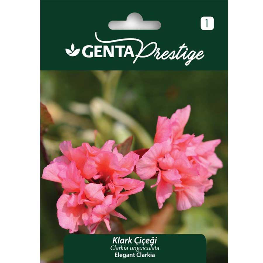 Genta Prestige Klark Çiçeği 