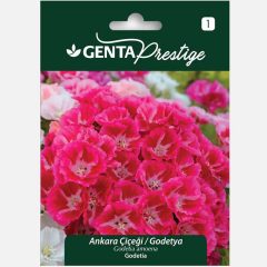 Genta Prestige Ankara Çiçeği