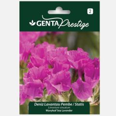 Genta Prestige Deniz Lavantası Çiçeği
