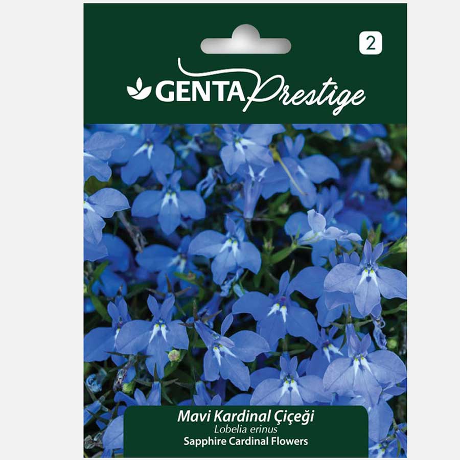 Genta Prestige Mavi Kardinal Çiçeği 