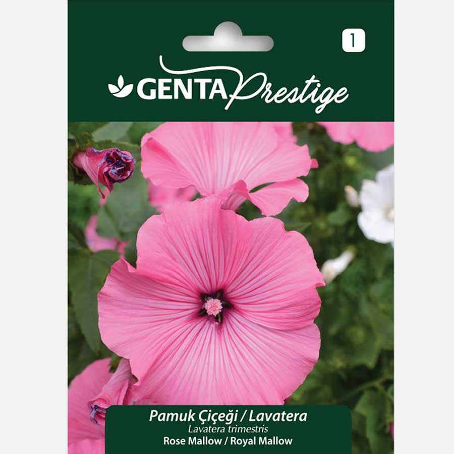 Genta Prestige Pamuk Çiçeği 