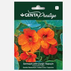 Genta Prestige Sarmaşık Latin Çiçeği