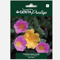 Genta Prestige Yalınkat İpek Çiçeği
