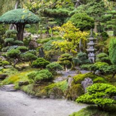 Japon Bahçe Sanatı