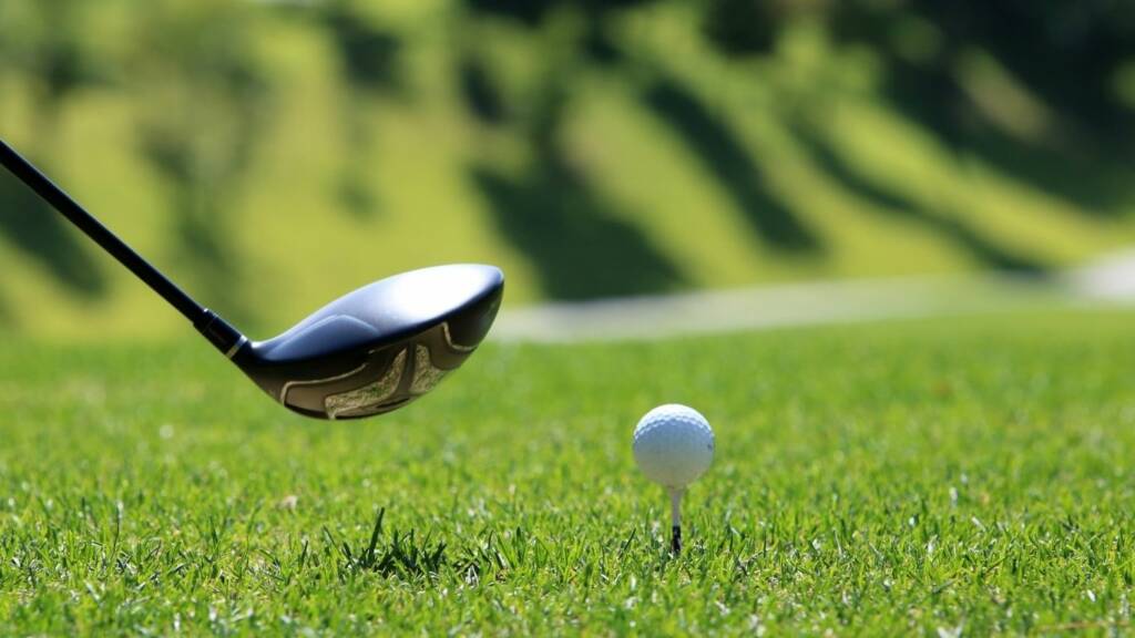 Golf Nasıl Oynanır Golf Çimi ve Sahası